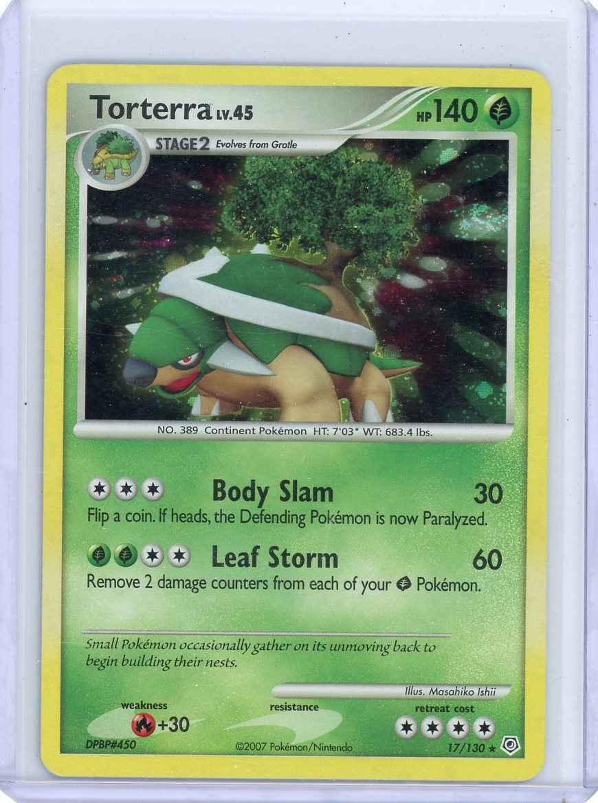 HOLO TORTERRA good lv. 45