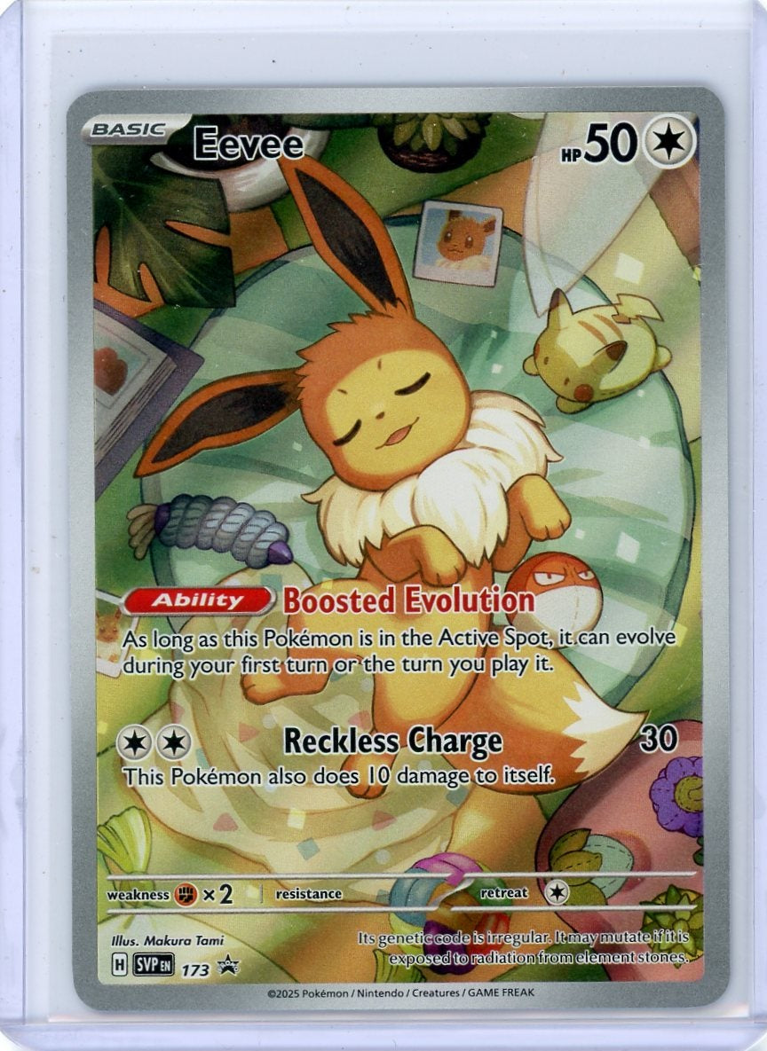 Eevee Pokémon Black Star Promo #173