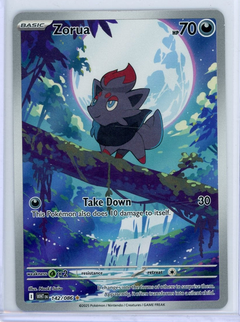 Zorua Pokémon White Flare Illustration Rare #142/086