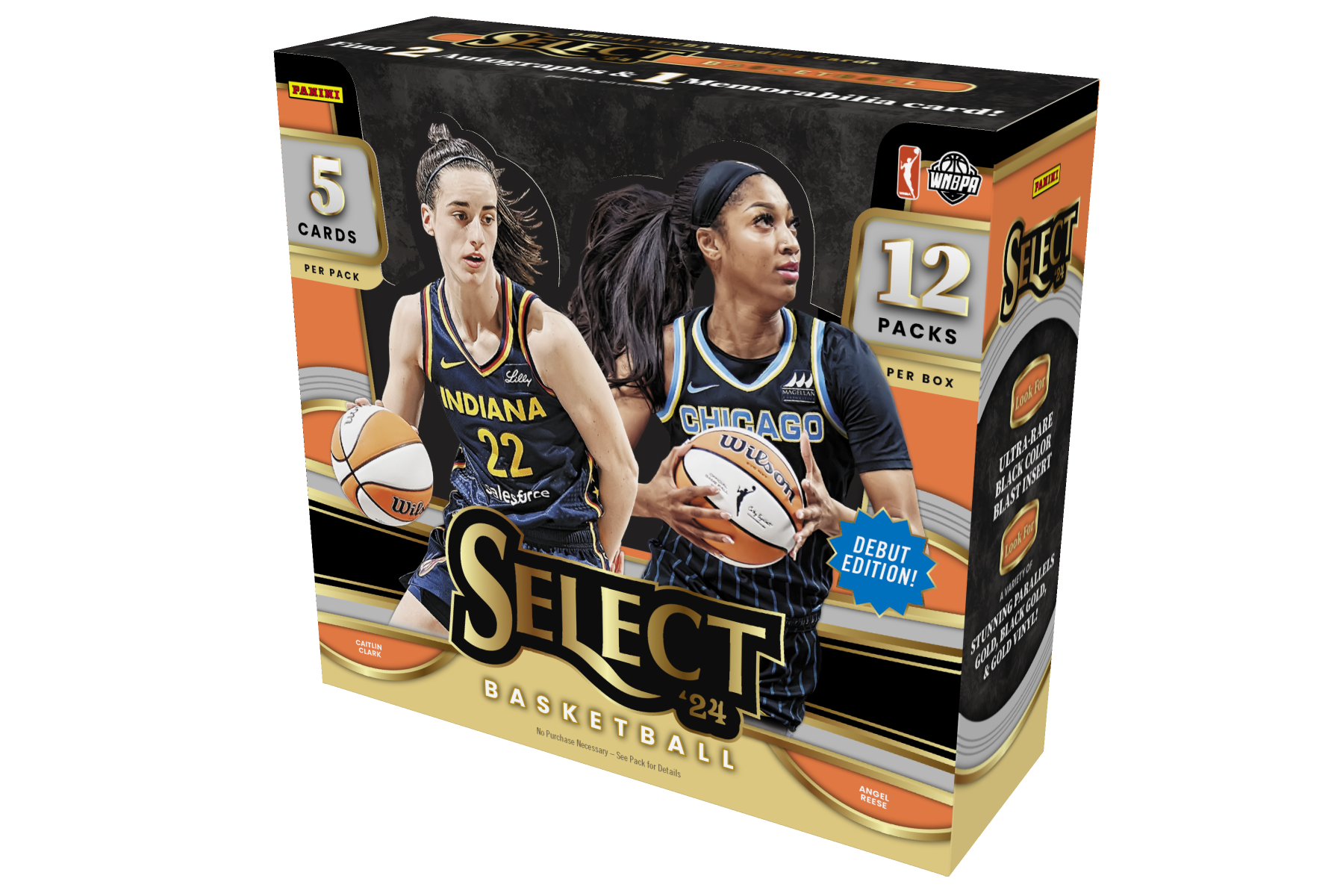 2024 Panini Select WNBA Basketball Hobby 12 Box Case