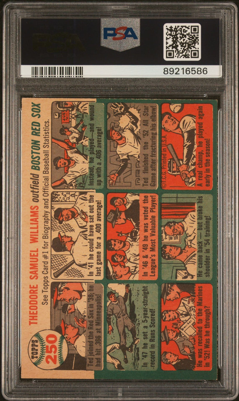 Ted Williams 1954 Topps 