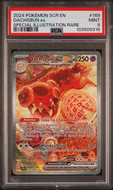Dachsbun ex Pokémon Stellar Crown Special Illustration Rare #169/142 PSA 9