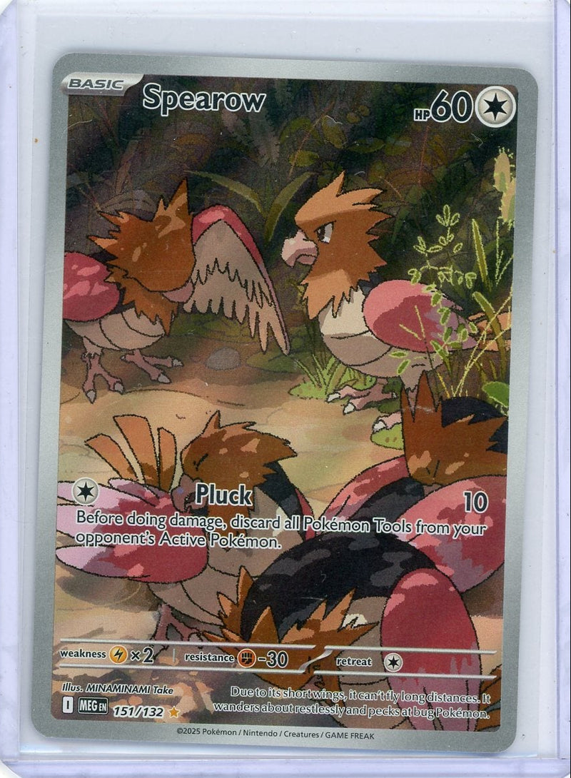 Spearow 