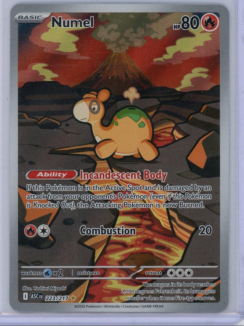 Numel 2026 Pokémon Ascended Heroes Illustration rare #223/217