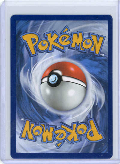 Floragato 2023 Pokemon Paldea Evolved Illustration rare holo #197/193