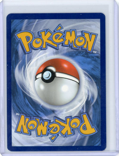 N's Zorua Pokemon Scarlett & Violet Promo 189