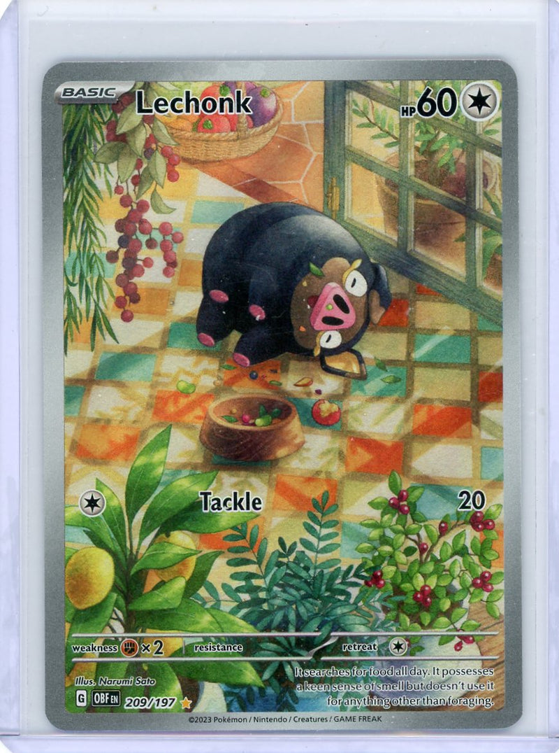 Lechonk Pokemon Obsidian Flames Illustration Rare 209/197