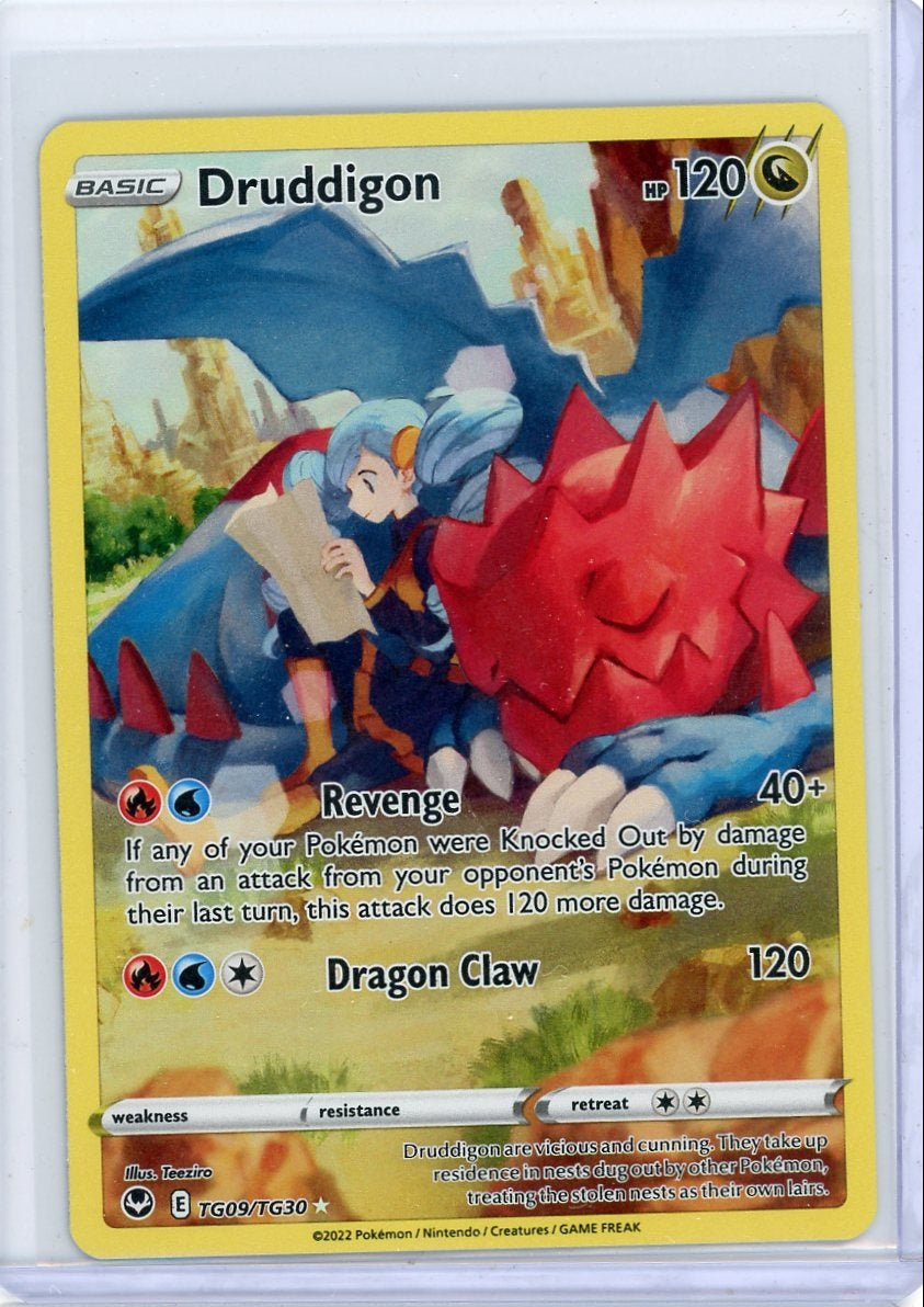 Druddigon 2022 Pokemon Trainer Gallery #TG09/TG30