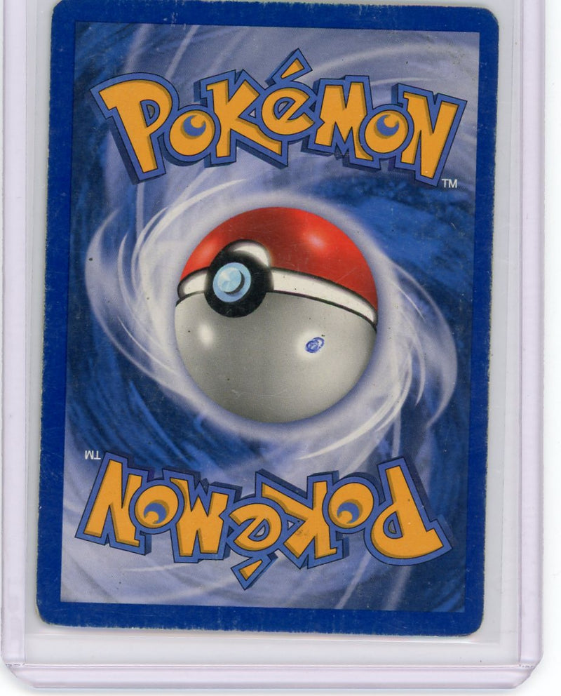 Ursaring 2003 Pokemon Skyridge rare reverse holo 