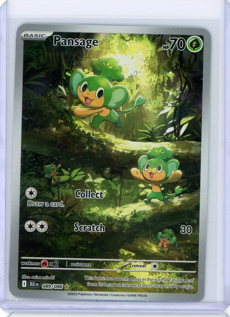 Pansage 2025 Pokemon Black Bolt Illustration rare #089/086