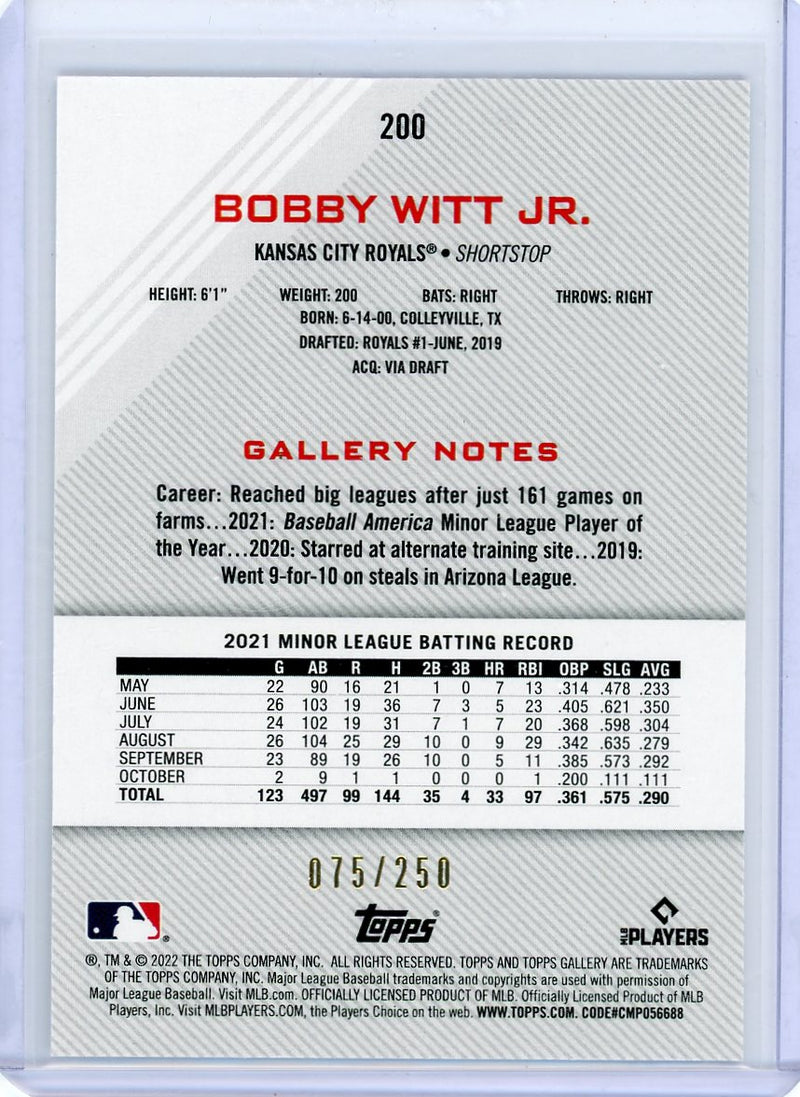 Bobby Witt Jr. 2022 Topps Gallery Private Issue rookie card 
