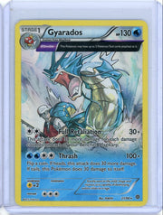 Gyarados 2015 Pokemon Ancient Origins holo #21/98 DMG