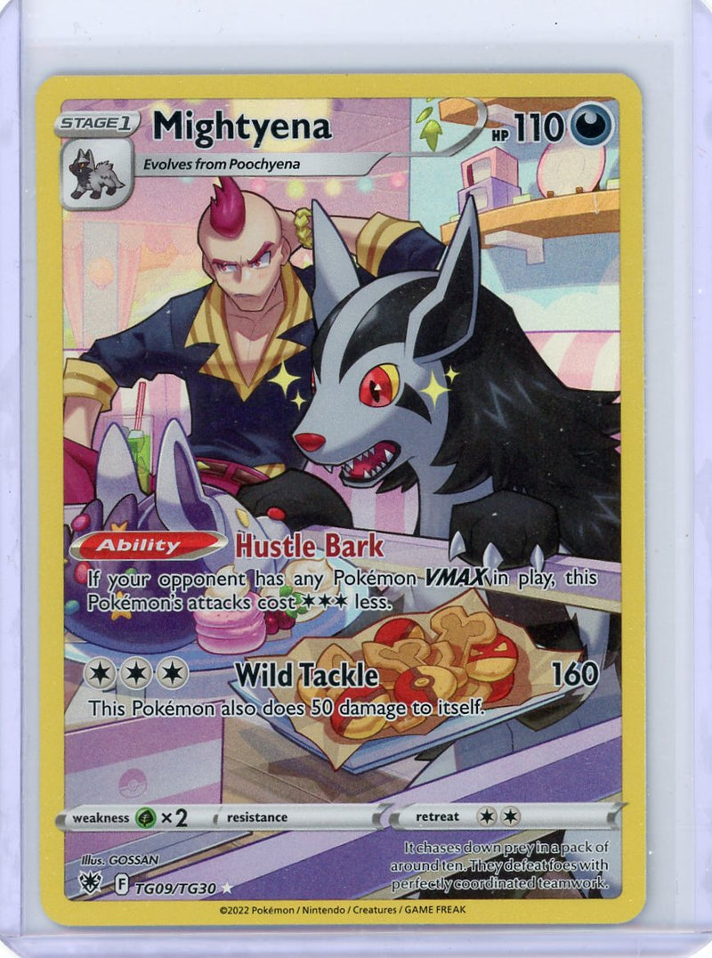 Mightyena 2022 Pokémon full art rare holo TG09/TG30