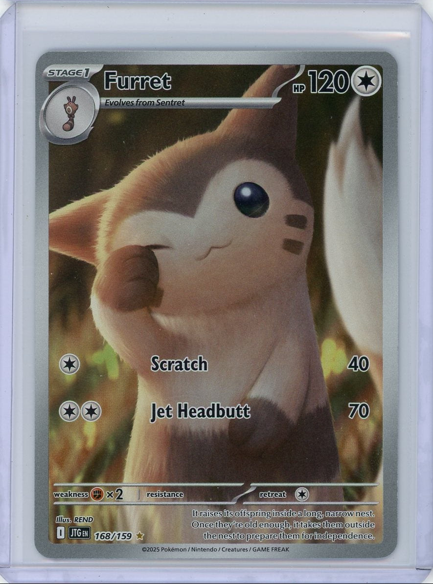Furret 2025 Pokemon Journey Together Illustration rare #168/159