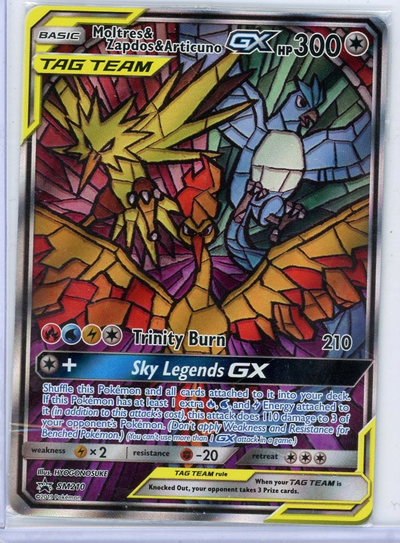Moltres & Zapdos & Articuno GX Pokémon Sun & Moon Black Star Promo #SM210 (SEALED)