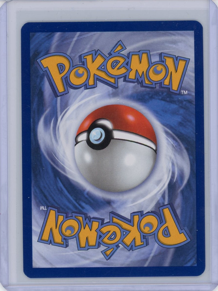 Riolu Pokémon Mega Evolution Black Star Promo #010