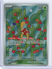 Shuckle Pokemon Mega Evolution Illustration Rare #136/132