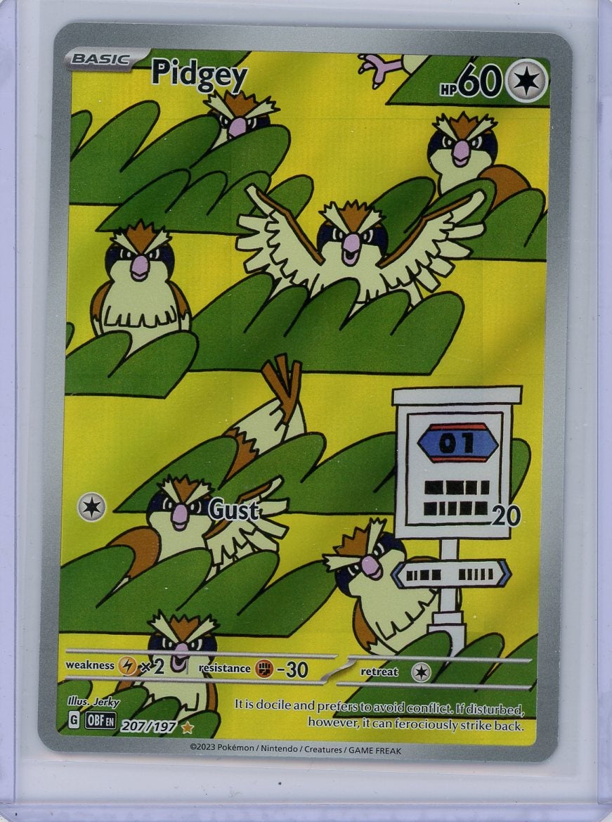 Pidgey/Pidgeotto/Pidgeot 2023 Obsidian Flames Illustration Rare Bundle