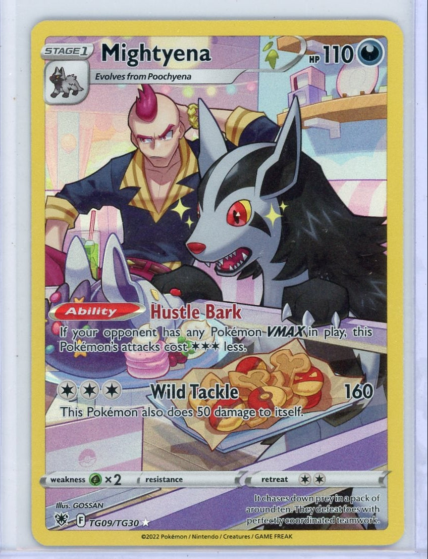 Mightyena Pokémon Astral Radiance Trainer Gallery #TG09/TG30