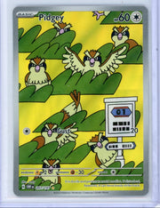Pidgey Pokémon Obsidian Flames Illustration Rare #207/197