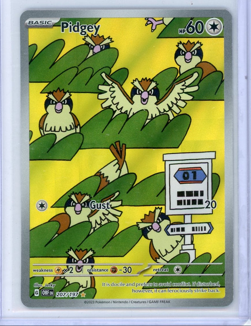 Pidgey Pokémon Obsidian Flames Illustration Rare #207/197