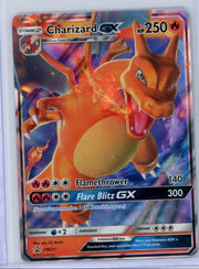 Oricorio ex Pokémon Black Star Promo #024