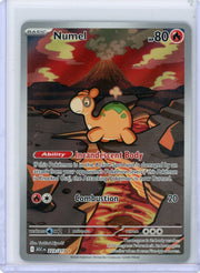 Numel Pokémon Ascended Heroes Illustration Rare #223/217