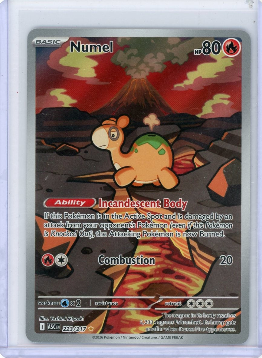 Numel Pokémon Ascended Heroes Illustration Rare #223/217