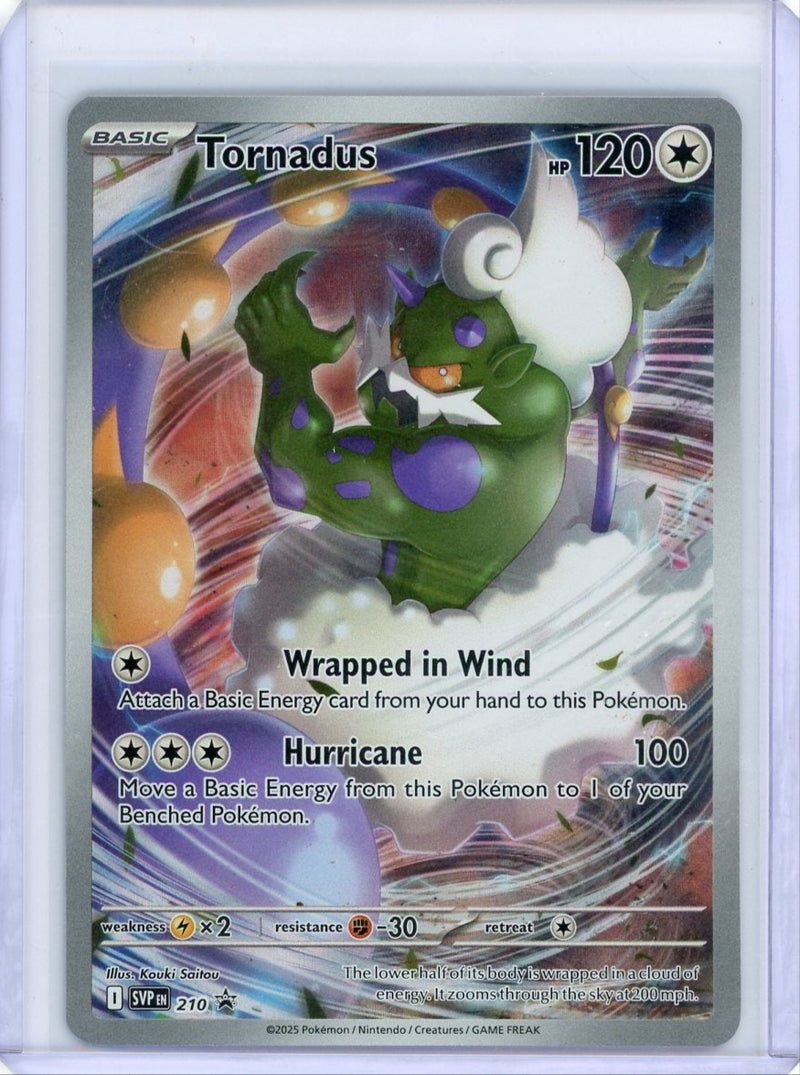 Tornadus 2025 Pokemon Black Star Promo 