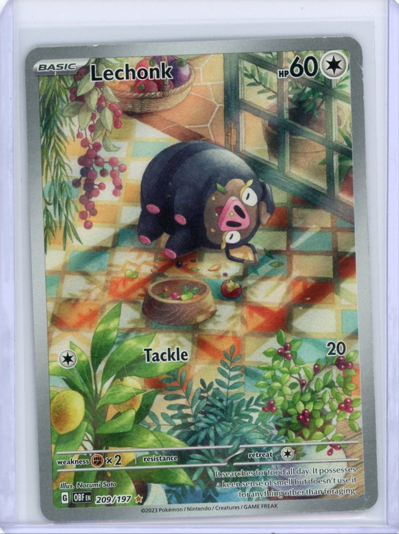 Lechonk Pokemon Obsidian Flames Illustration Rare 209/197