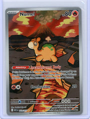Numel 2026 Pokémon Ascended Heroes Illustration rare #223/217