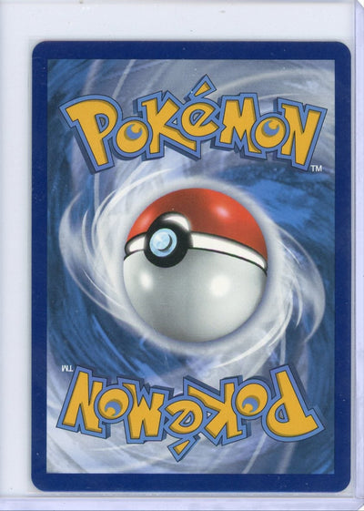 Boltund V 2022 Pokémon rare holo TG13/TG30