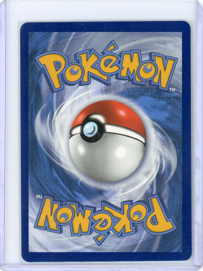 Blaziken V 2021 Pokemon Chilling Reign full-art holo #161/198