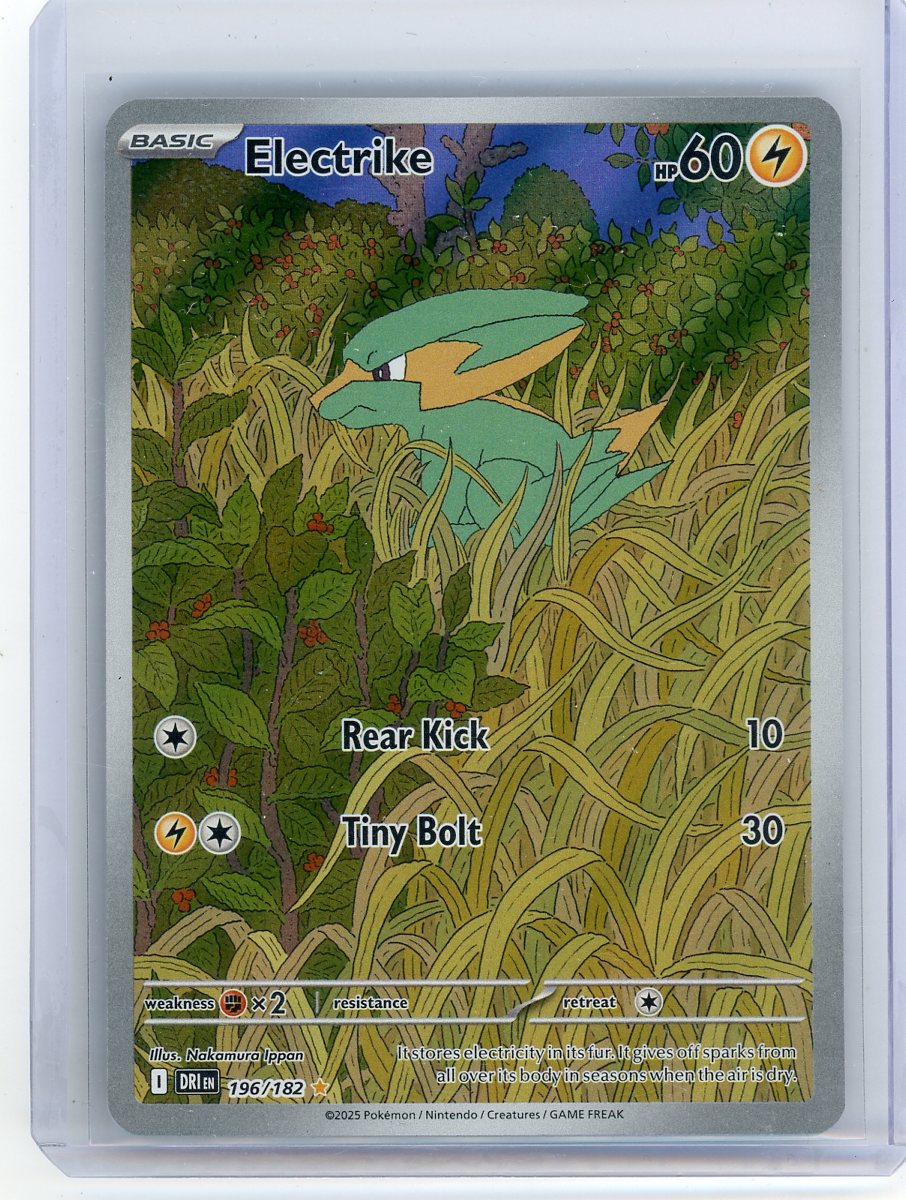 Electrike Pokémon Destined Rivals Illustration Rare #196/182