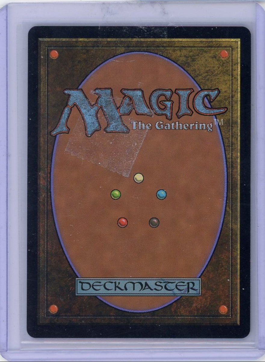 Fierce Guardianship Magic the Gathering Avatar #0307