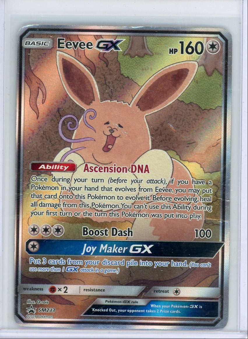 Eevee GX 2019 Pokémon Black Star Promo #SM233 DMG