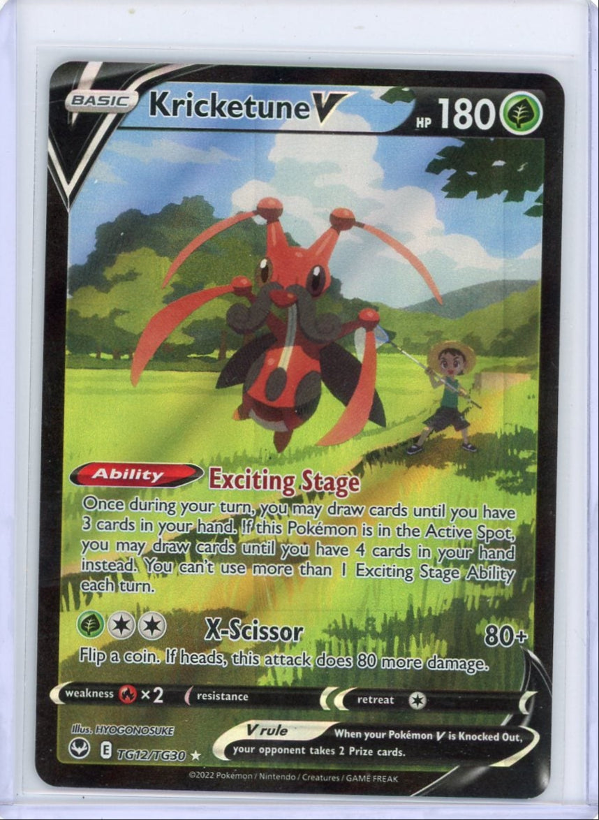 Kricketune V Pokémon Silver Tempest Trainer Gallery #TG12/TG30