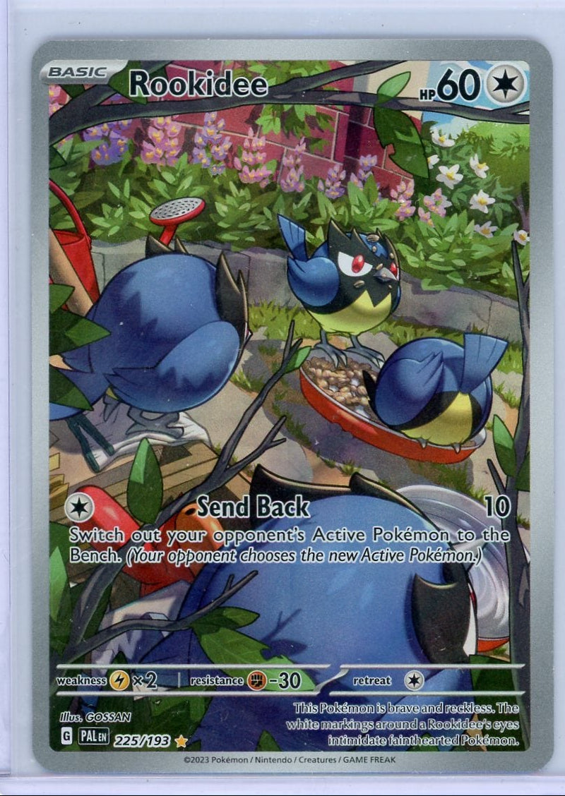Rookidee Pokémon Paldea Evolved Illustration Rare #225/193