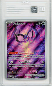 Pecharunt Pokémon Shrouded Fable Black Star Promo #129 TAG 10