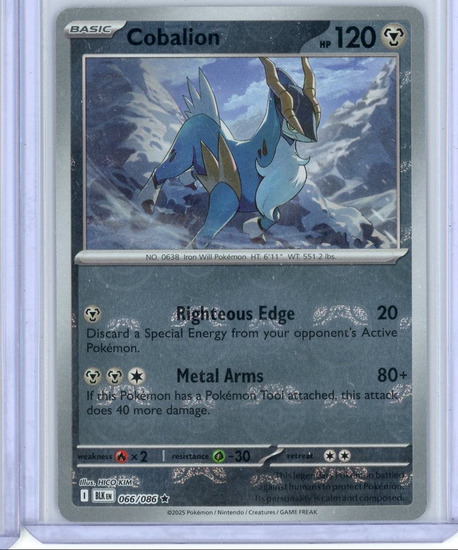 Cobalion Pokémon Black Bolt Master Ball Holo #066/086
