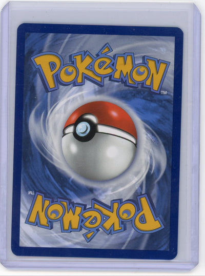 Pikachu Pokémon Black Star Promo #027