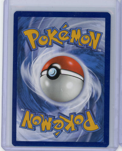 Skwovet 2023 Pokemon Scarlet & Violet Illustration rare #222/198