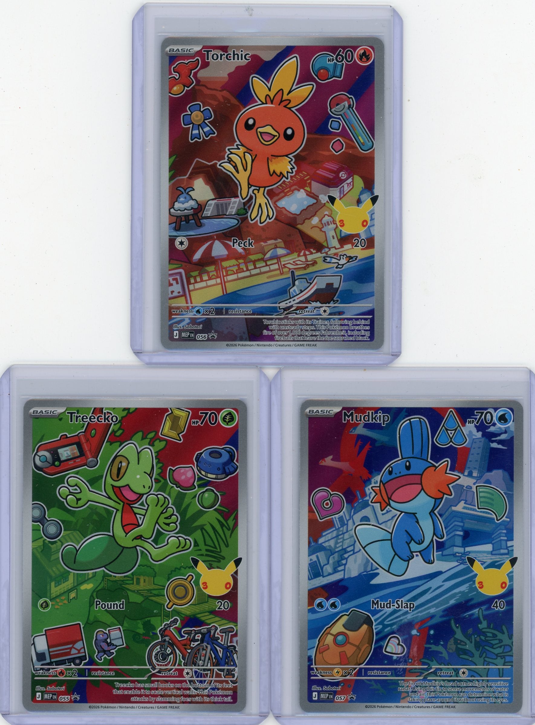 Mudkip/ Torchic/ Treecko Pokémon First Partner Illustration Collection Set