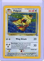 Pidgeot 1999 Pokemon Jungle rare holo #8/64