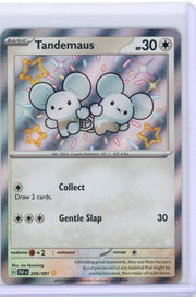 Tandemaus Pokémon Paldean Fates Baby Shiny #209/091