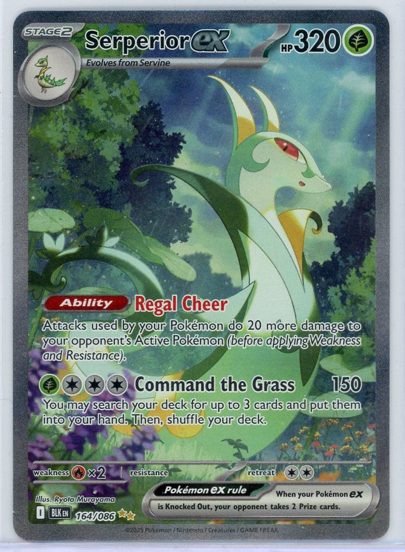 Serperior ex Pokémon Black Bolt Special Illustration Rare #164/086