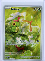 Caterpie Pokémon 151 Illustration Rare #172/165
