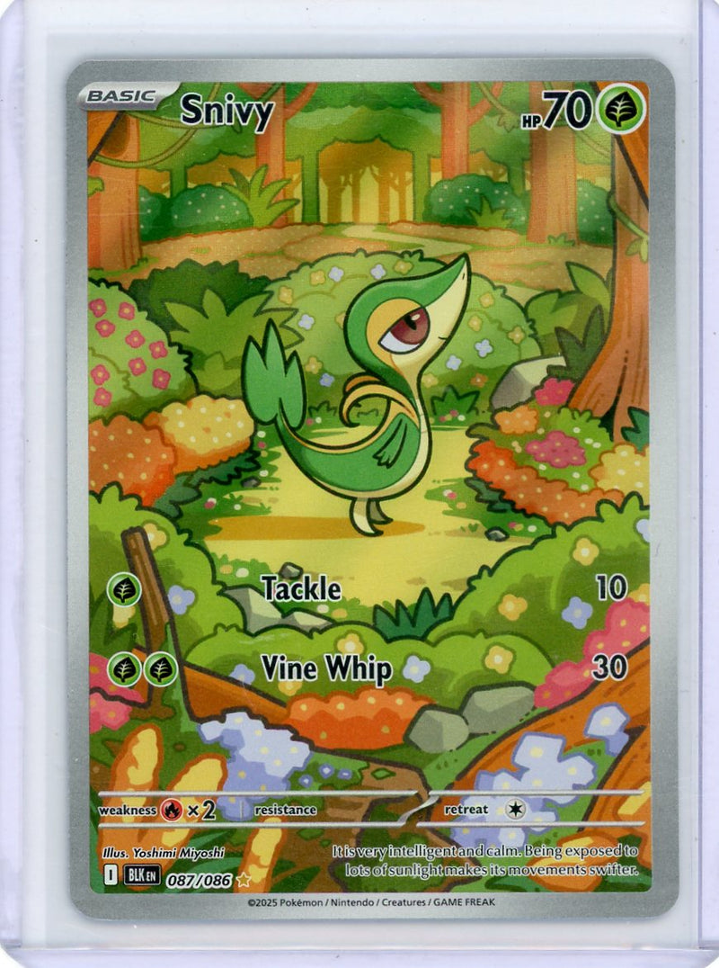 Snivy 2025 Pokemon Black Bolt Illustration rare 
