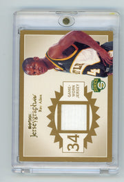 Ray Allen 2003-04 Fleer Skybox Jerseygraphics Game-Worn Jersey relic #'d 16/50