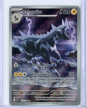 Zebstrika 2025 Pokemon White Flare Illustration rare holo #115/086